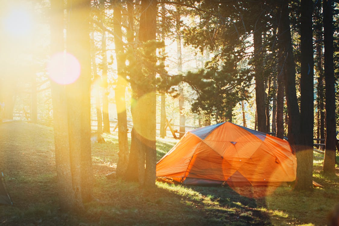 Les Indispensables pour un Camping Réussi