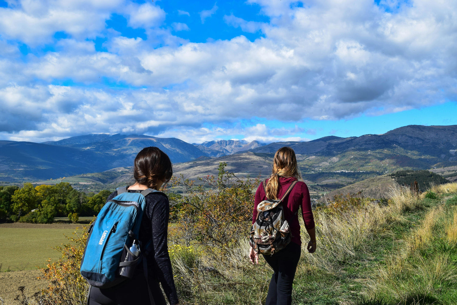 Trail – Domptez les Sentiers : Conseils et Inspirations pour le Trail Running