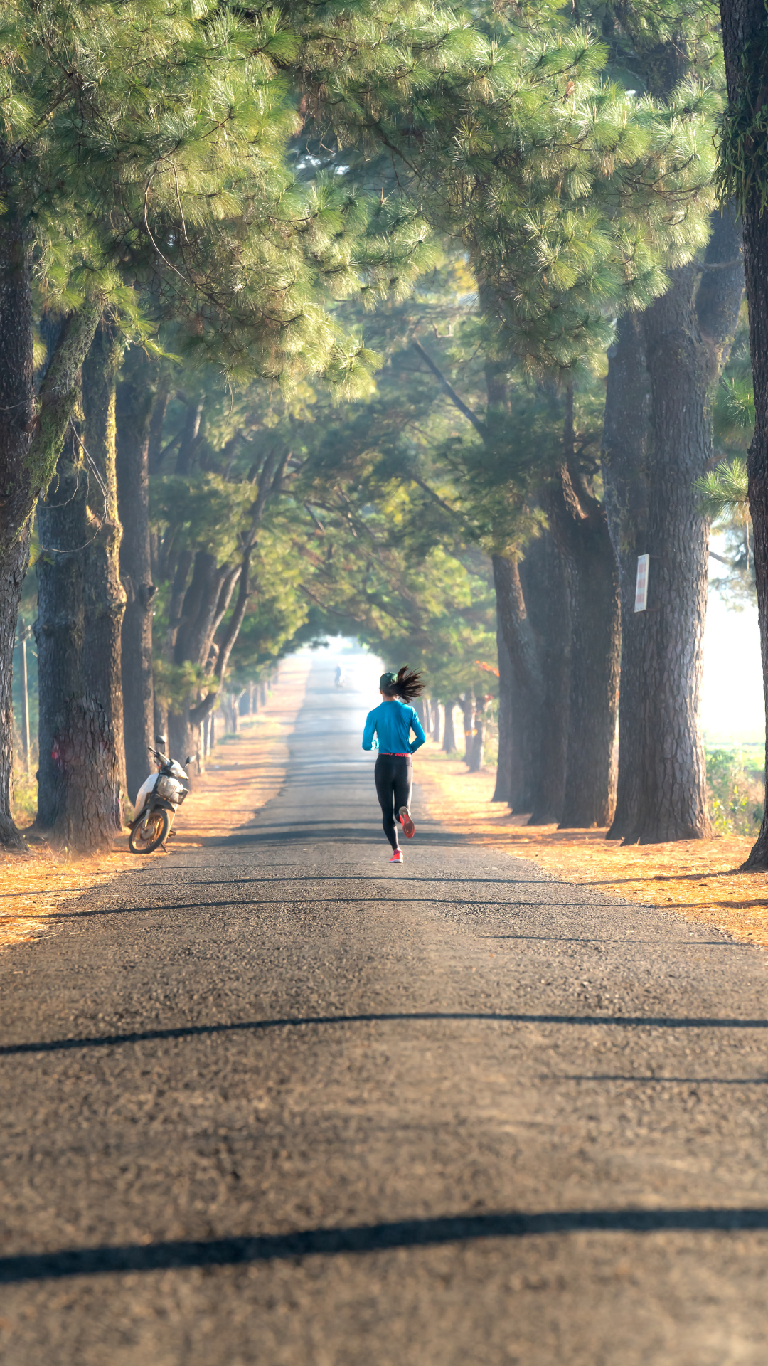 Courir en groupe 👟
