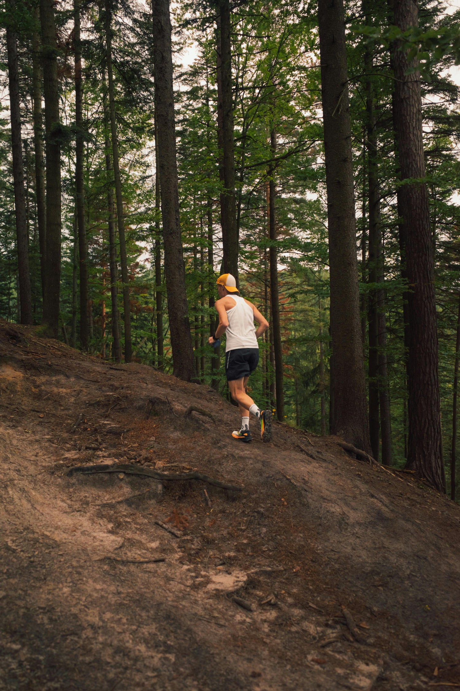 L’alimentation du traileur en hiver 🍲