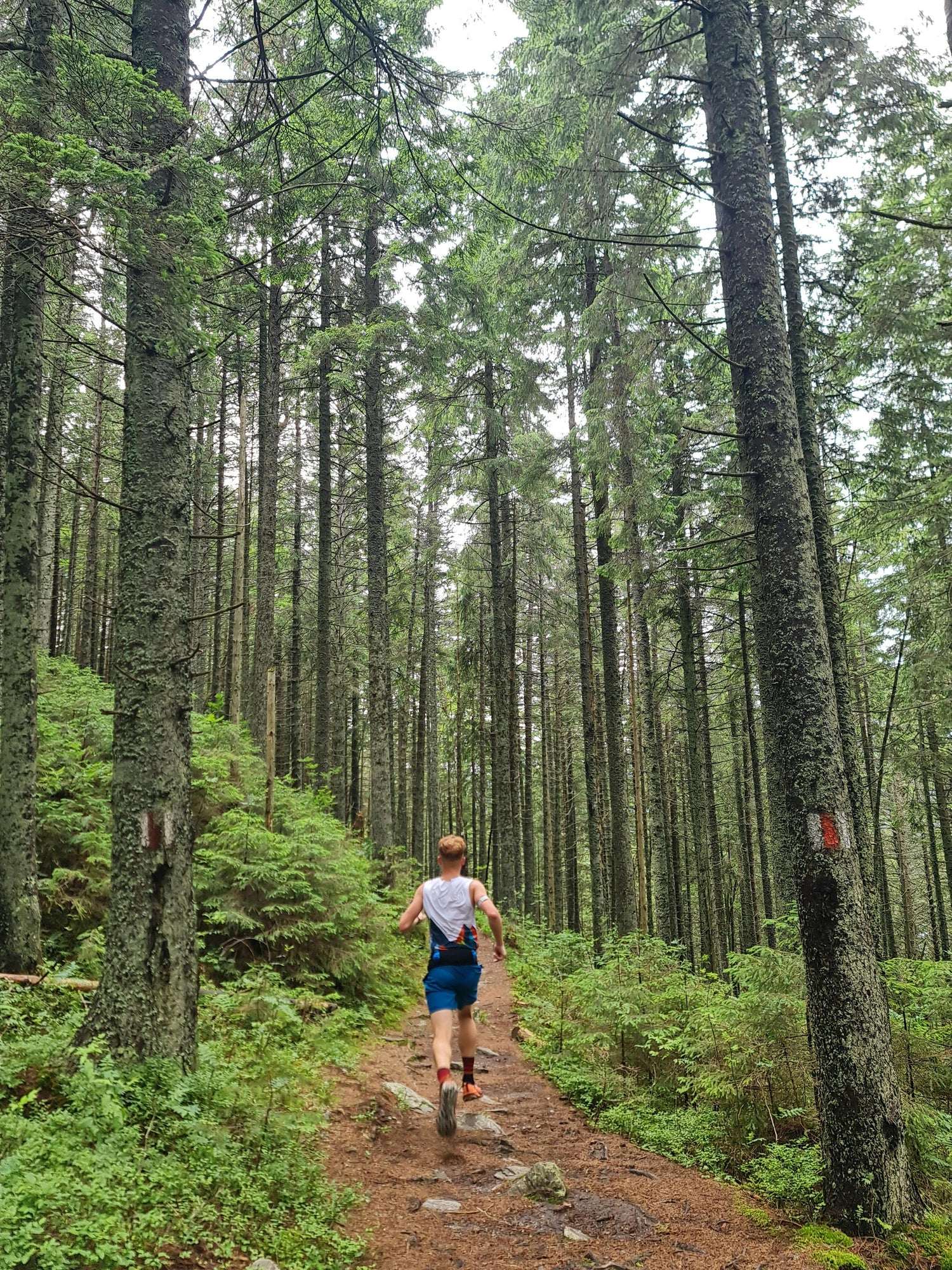 Courir en hiver, c’est apprendre à aimer l’effort