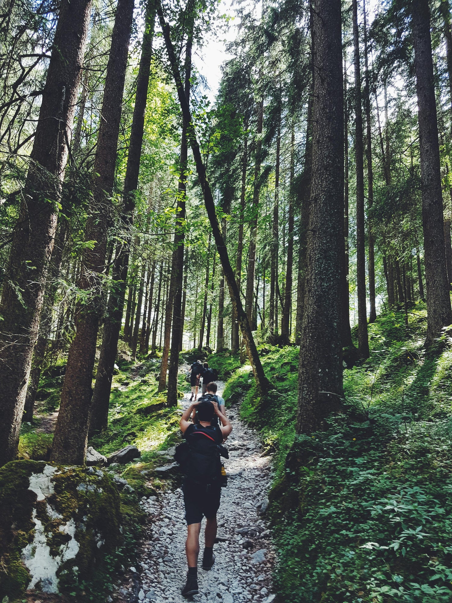 Trail : Repousser ses limites en pleine nature