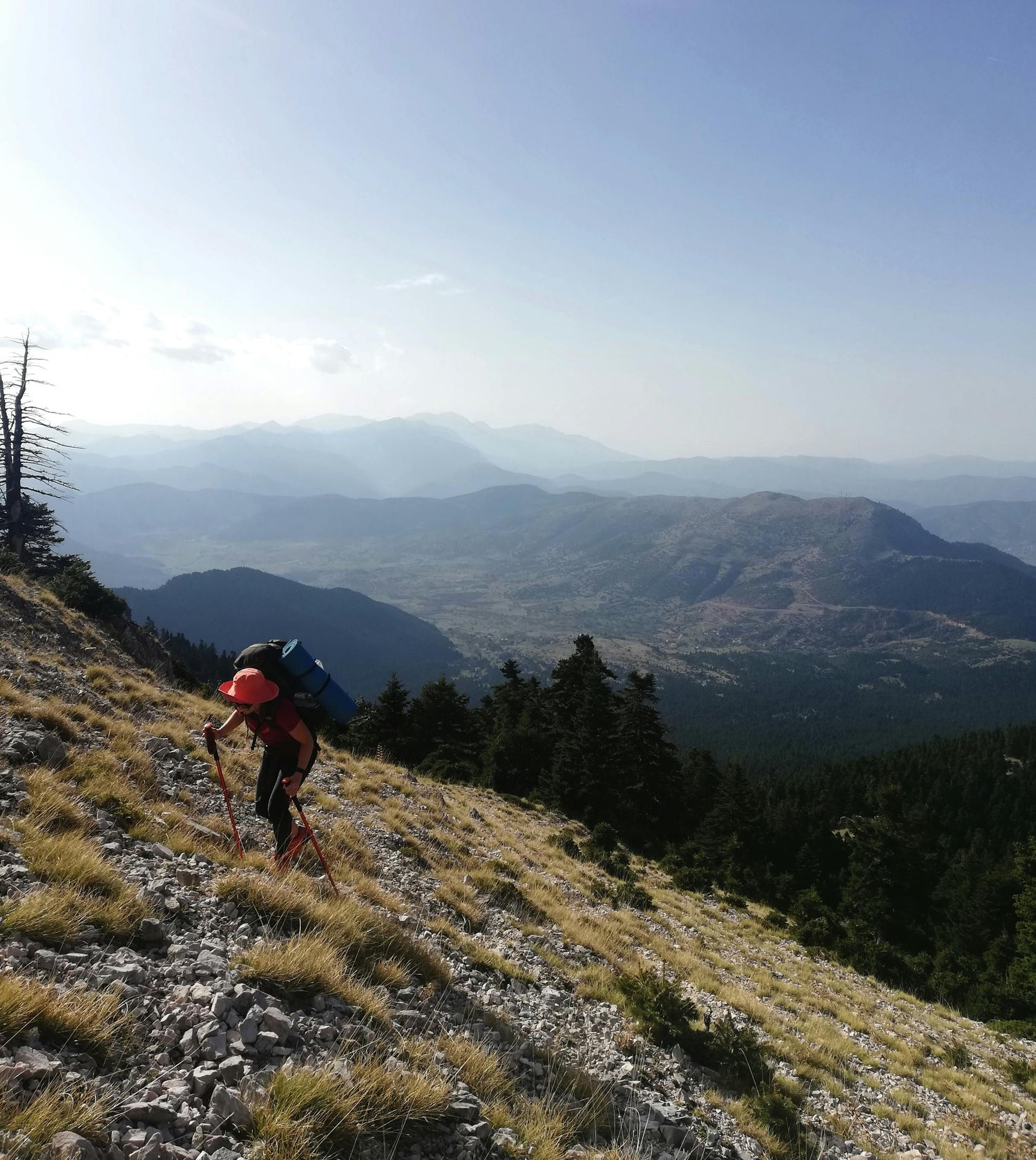Améliorer votre technique de montée en trail